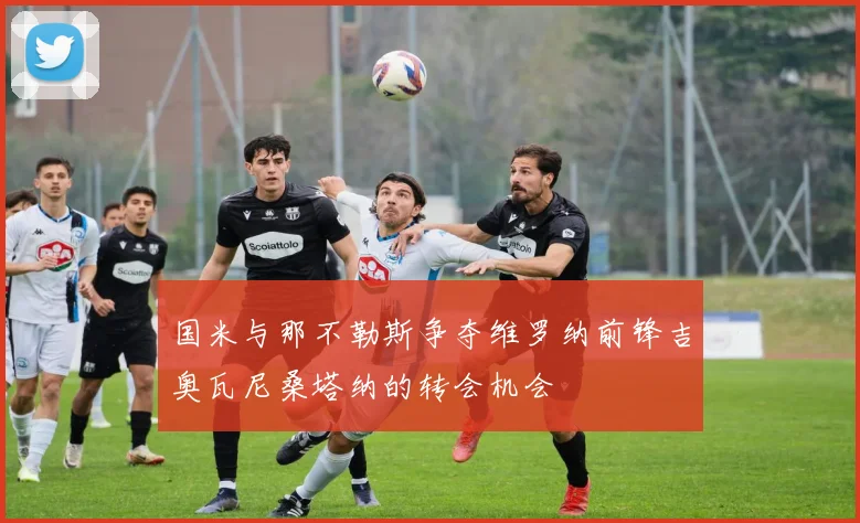 国米与那不勒斯争夺维罗纳前锋吉奥瓦尼桑塔纳的转会机会
